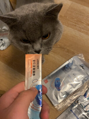 猫条猫零食