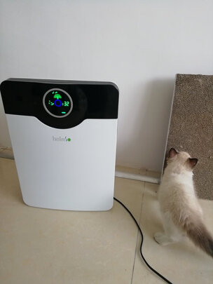 领舵空气净化器怎么样?用后三周讲一讲实情感受