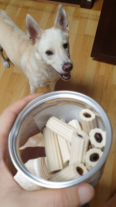 狗狗磨牙棒