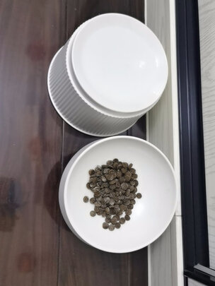 猫碗狗碗