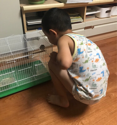 鸟笼