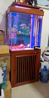 鱼缸水质稳定剂