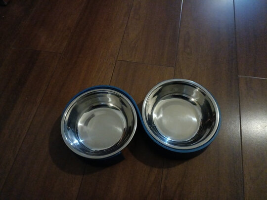 猫碗狗碗