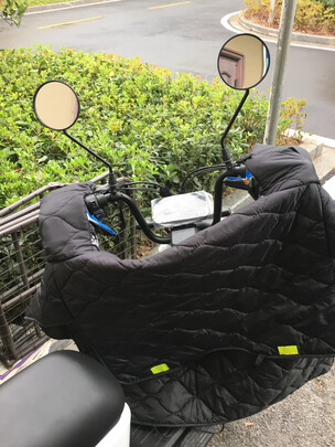 %title插图%num 绿源超长续航48V24A锂电池电动车新国标电动自行车 ZFB 光纤白(48V24A)