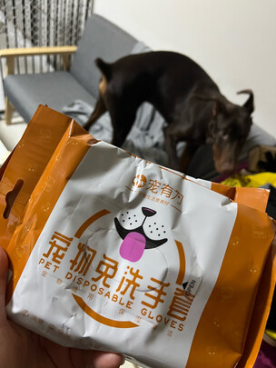 宠物免洗泡沫