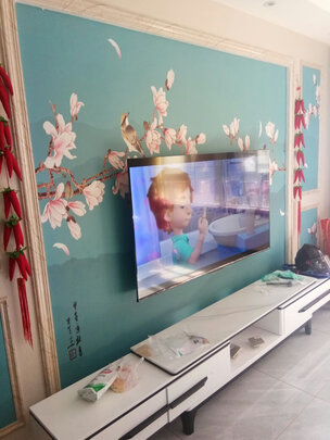 海信65E3F-PRO电视|海信65e3fpro和荣耀x1对比差距大吗？选哪款好