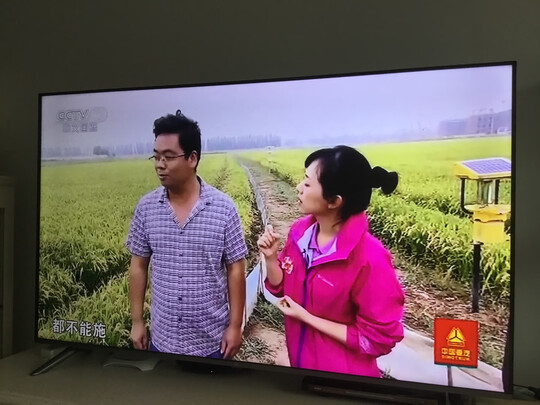 红米小米L65M5-RK平板电视怎么样?评价那么好真的吗？