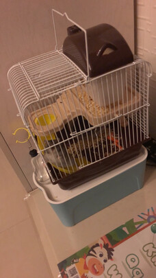 仓鼠跑轮