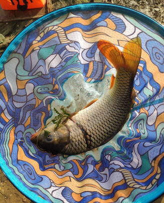 求助富源百川巅覆大物鱼竿怎么样?用过经验解密