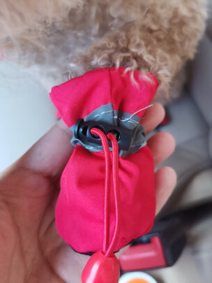 狗狗鞋