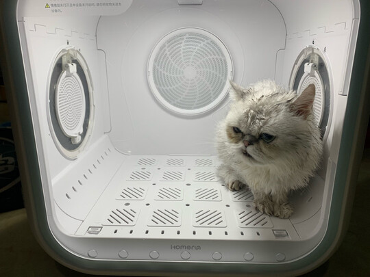  宠物烘干箱