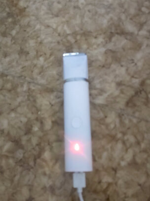 宠物磨甲器