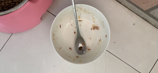 猫罐头