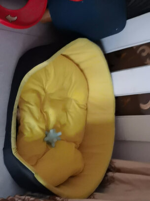狗窝