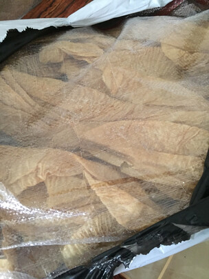 腐竹