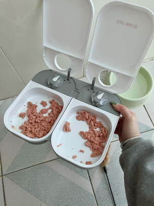 宠物自动喂食器