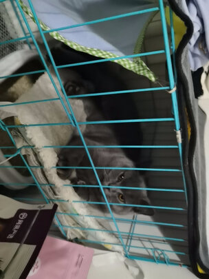猫粮