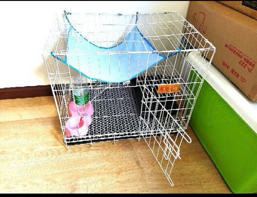  猫笼
