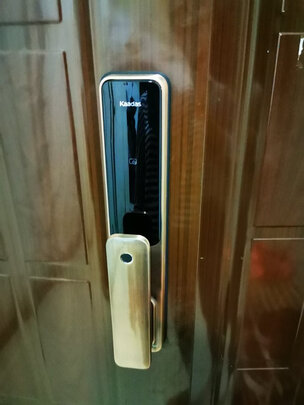 凯迪仕（kaadas）K20-V 智能锁指纹锁全自动猫眼抓拍 家用防盗门锁电子密码锁 太空灰色 C级锁芯