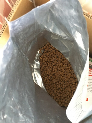 狗粮