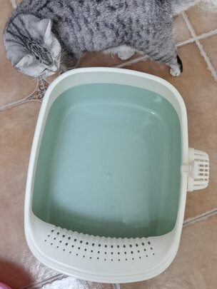 猫砂盆