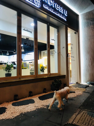 狗狗零食