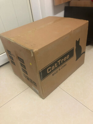 猫爬架