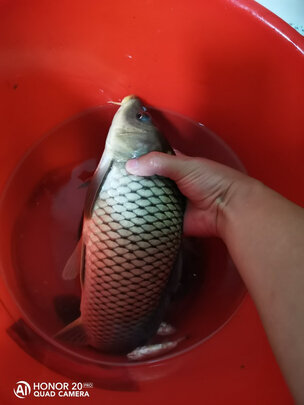 浮漂