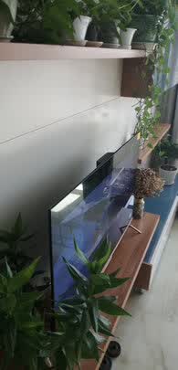 創維50A20電視|創維50A20電視怎么樣？親身體驗告知你實情！