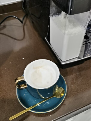 内幕爆料德龙ESAM04.110.S怎么样,质量评测好不好用