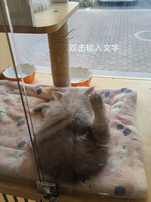 宠物烘干箱