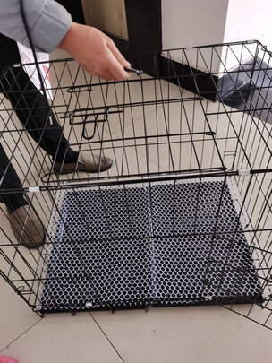 猫笼