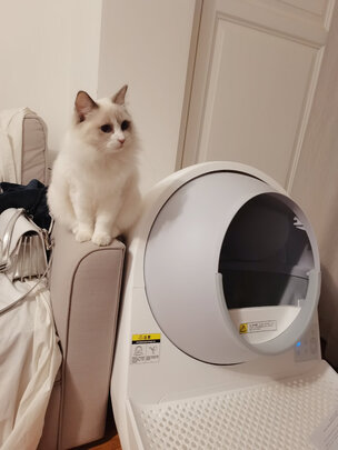 猫砂铲