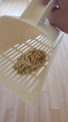猫砂盆