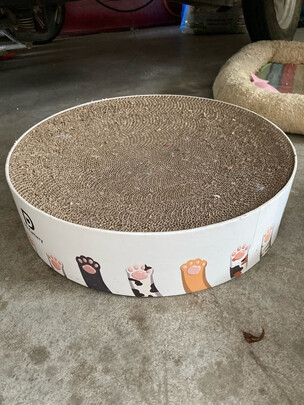 猫窝