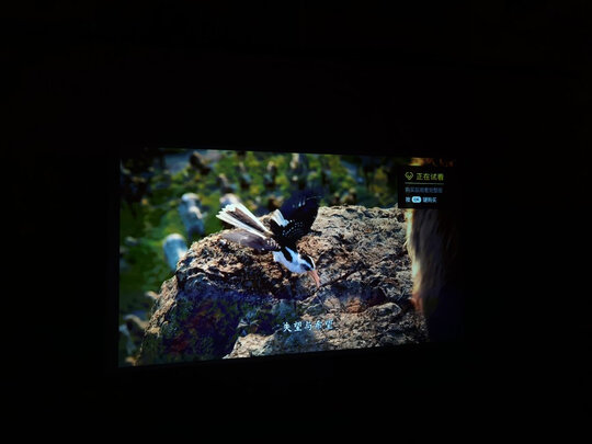 投影幕布|用户揭秘艾瑞尔拉线地拉幕布投影幕布好吗,入手解密评测真相