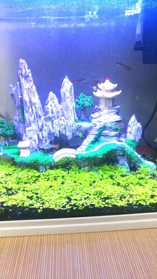 鱼粮