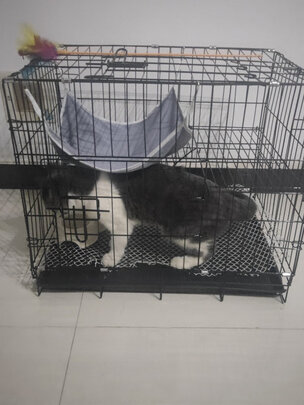 猫笼