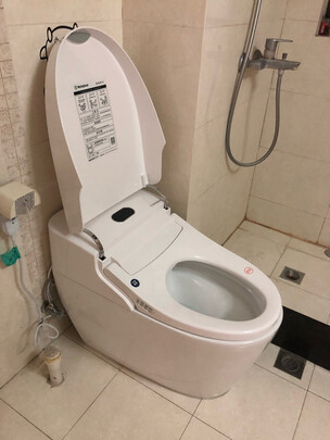 %title插图%num 美国西屋(Westinghouse)智能马桶一体式全自动家用坐便器无水压限制智能坐便器即热式清洗烘干 WHJ-L2高配款300坑距(290-390)