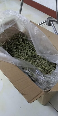 兔粮提摩西草
