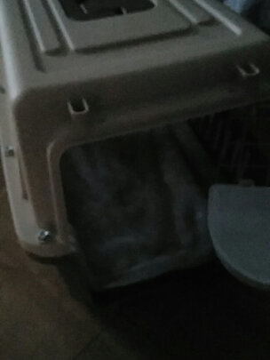 猫包