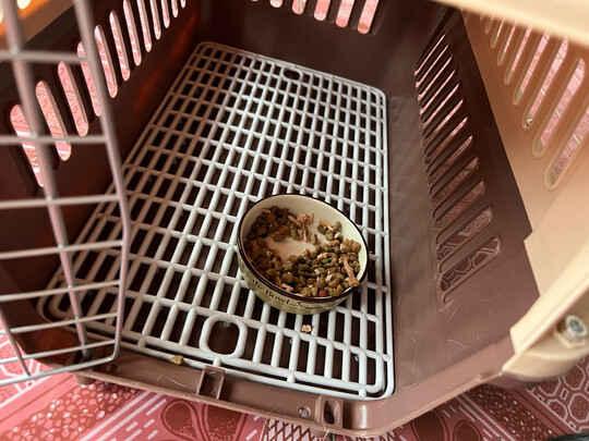 猫包