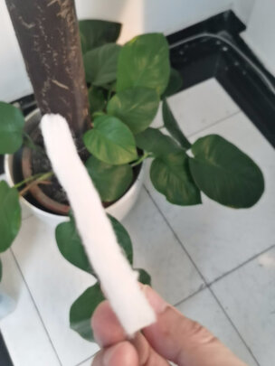 鱼缸过滤棉