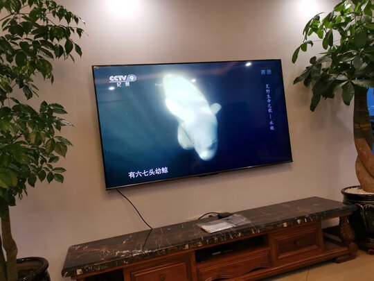 真相解密TCL 55Q7D怎么样？,评价那么好真的吗