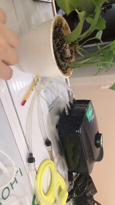 鱼缸氧气泵