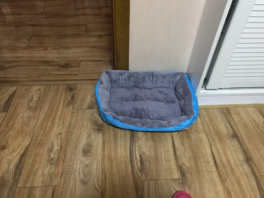 猫窝