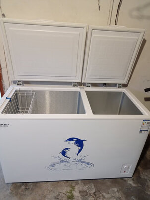 冰柜|澳柯玛BCD-257CHN冰柜怎么样？亲身体验告知你实情！