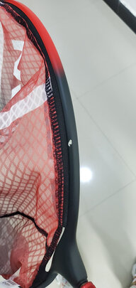 抄网杆