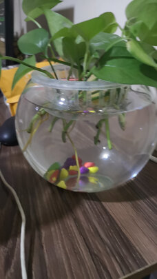 桌面鱼缸