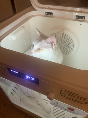  宠物烘干箱